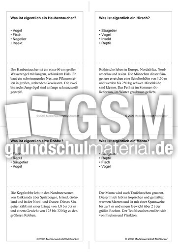 Quiz-Karten-Tiernamen 85.pdf